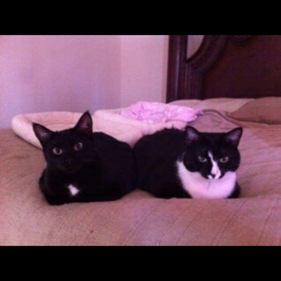 Meet your Posher, Kelly - Picture 7 of 7